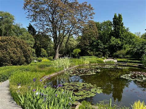 Jardín de la Alameda: Oaza Spokoju w Sercu Jukatanu!